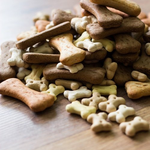 Packaging-solutions-for-dog-treats.jpg