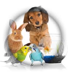 SuperZoo_Pic3.jpg