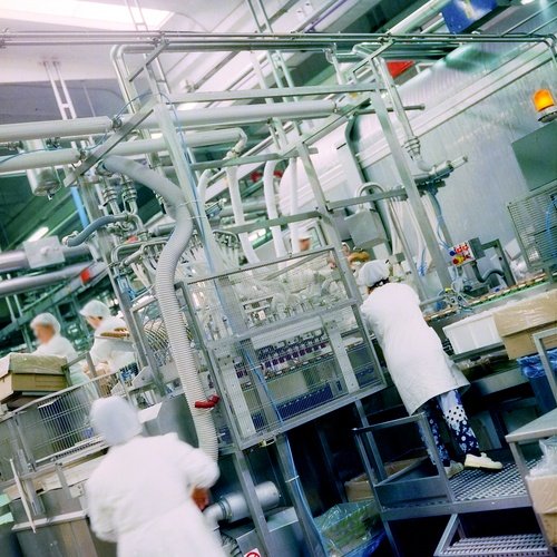 pet-food-packaging-factory.jpg
